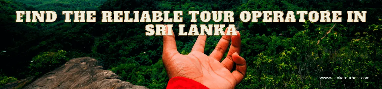 Choosing a reliable tour operator in Sri Lanka