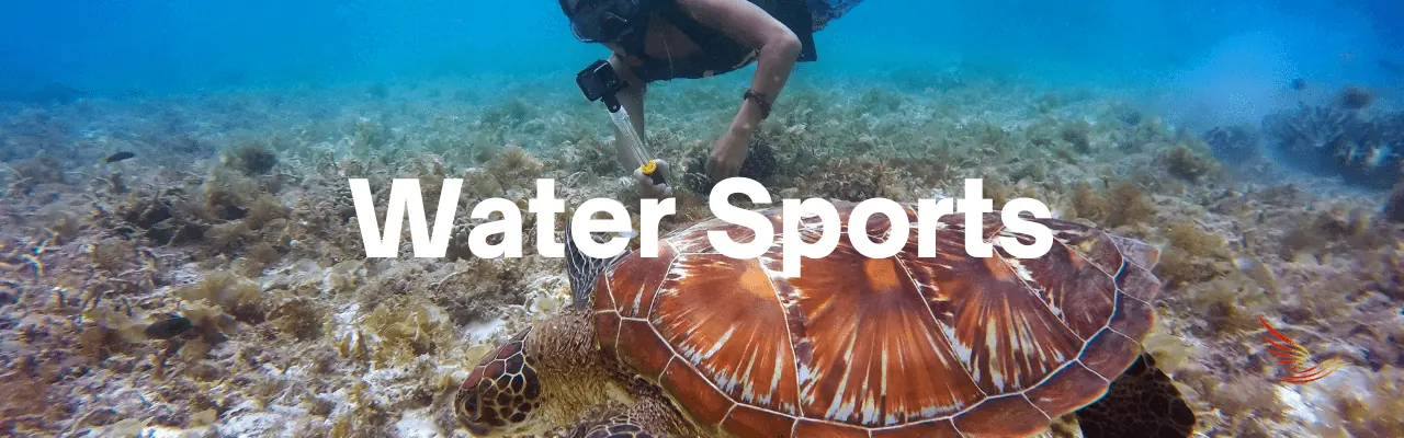 Water Sports