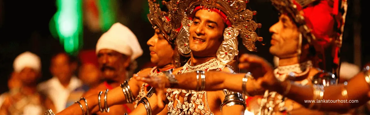 A Day Tour Adventure with a Tour Operator in Sri Lanka