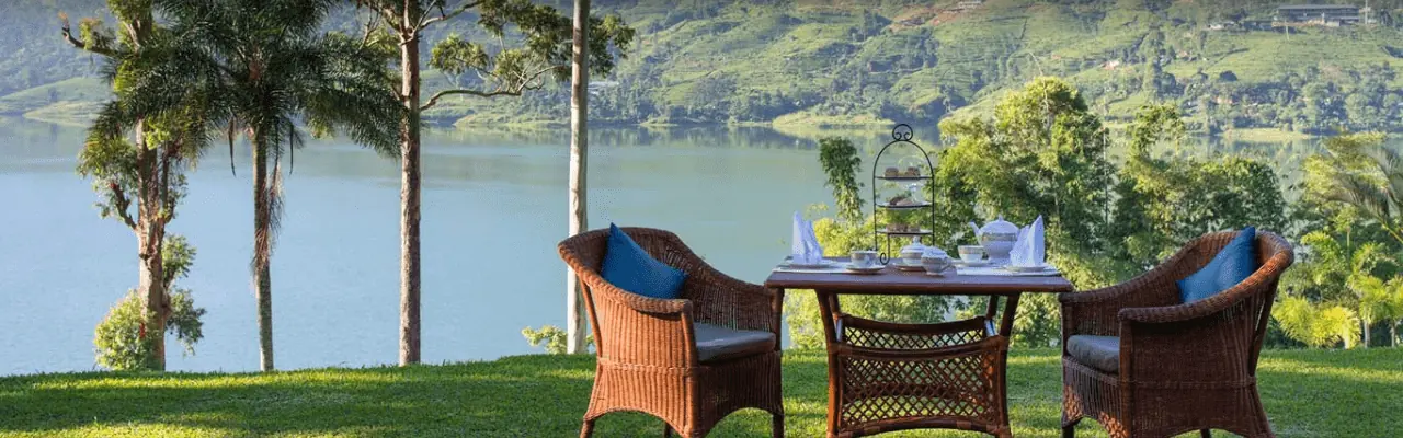 Tour Operator Sri Lanka - Your Ultimate Guide to a December Visit