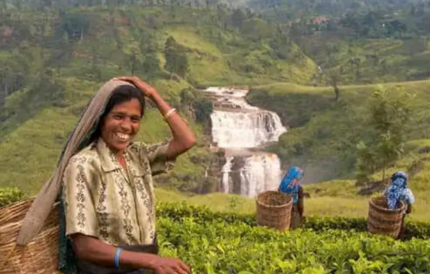 Classic 8-Day Sri Lanka Small Group Tour