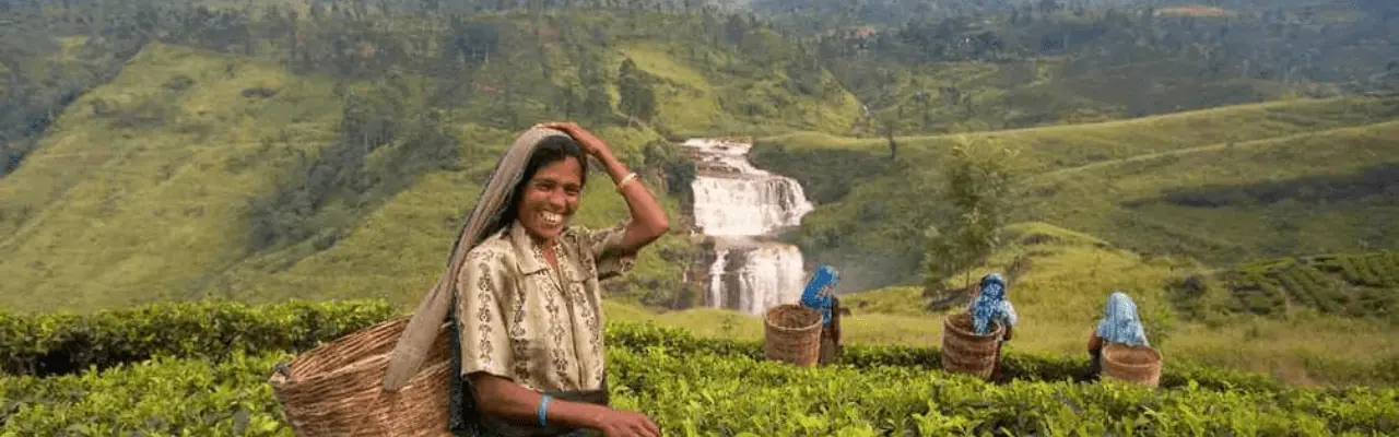 Tour Operator Sri Lanka - Your Ultimate Guide to a December Visit
