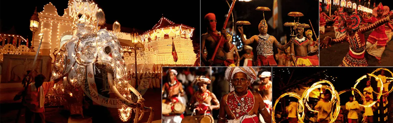 Tour Operator Sri Lanka - Your Ultimate Guide to a December Visit