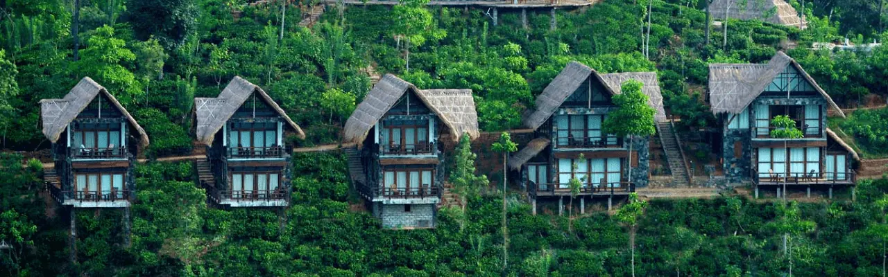 Tour Operator Sri Lanka - Your Ultimate Guide to a December Visit