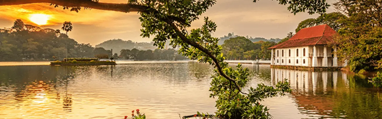 Tour Operator Sri Lanka - Your Ultimate Guide to a December Visit