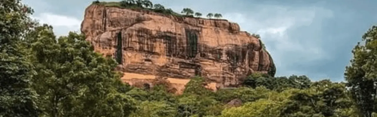 Tour Operator Sri Lanka - Your Ultimate Guide to a December Visit