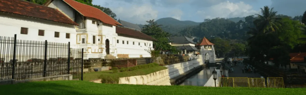 Tour Operator Sri Lanka - Your Ultimate Guide to a December Visit