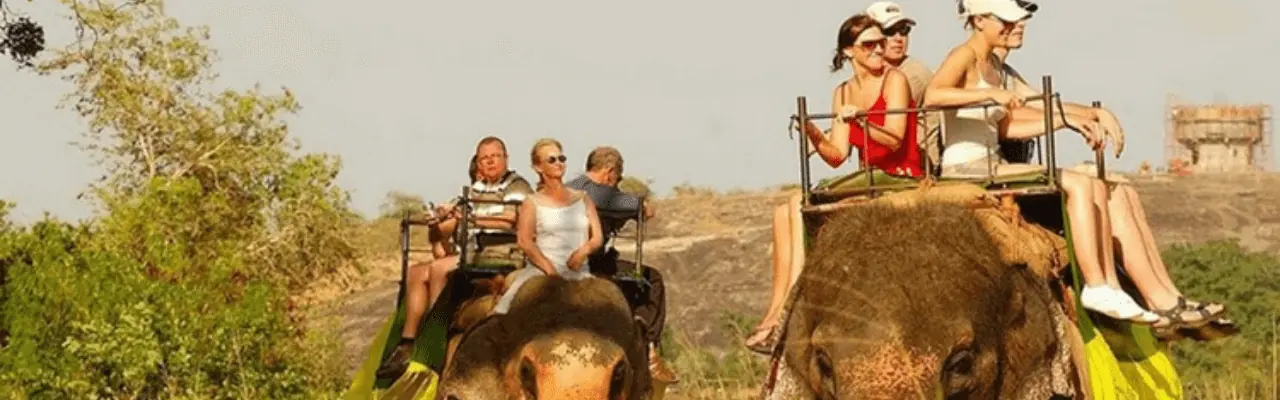 Tour Operator Sri Lanka - Your Ultimate Guide to a December Visit