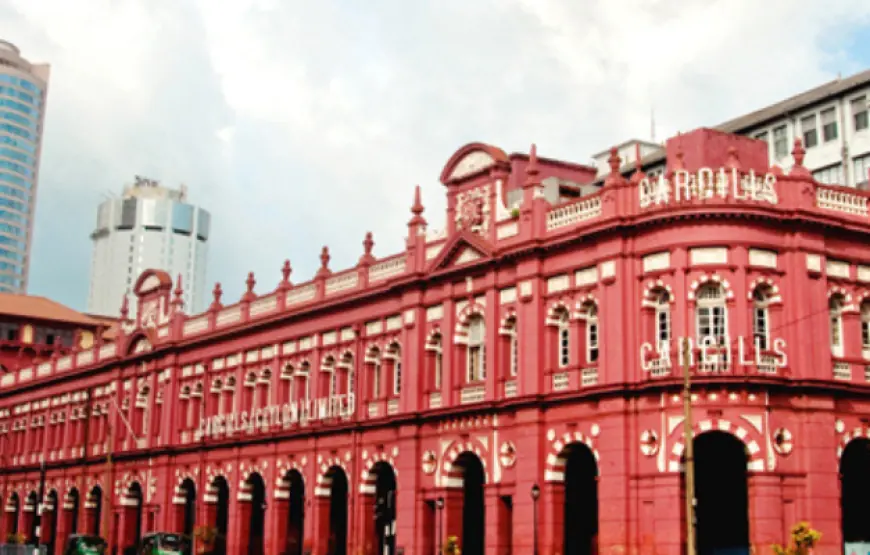 Hill Breeze: 4-Day Hill Country Tour of Sri Lanka