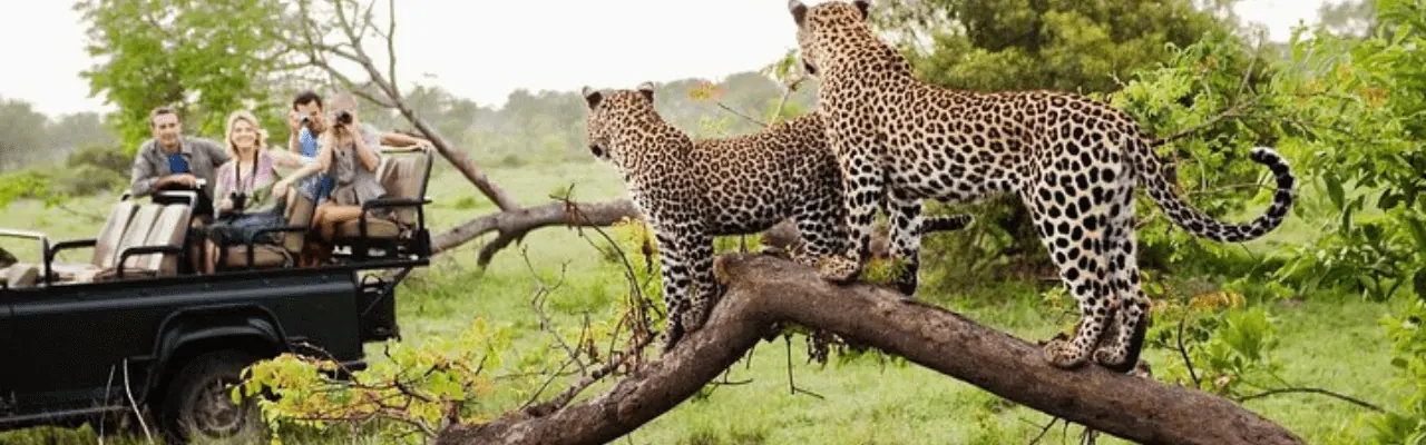 One Day Trips in Sri Lanka