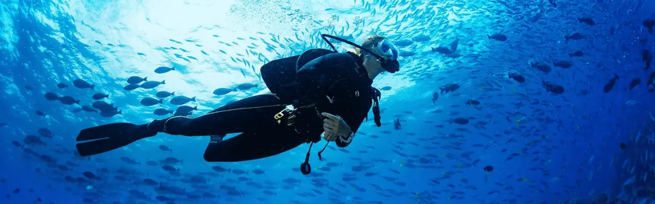 Tour Operators in Sri Lanka