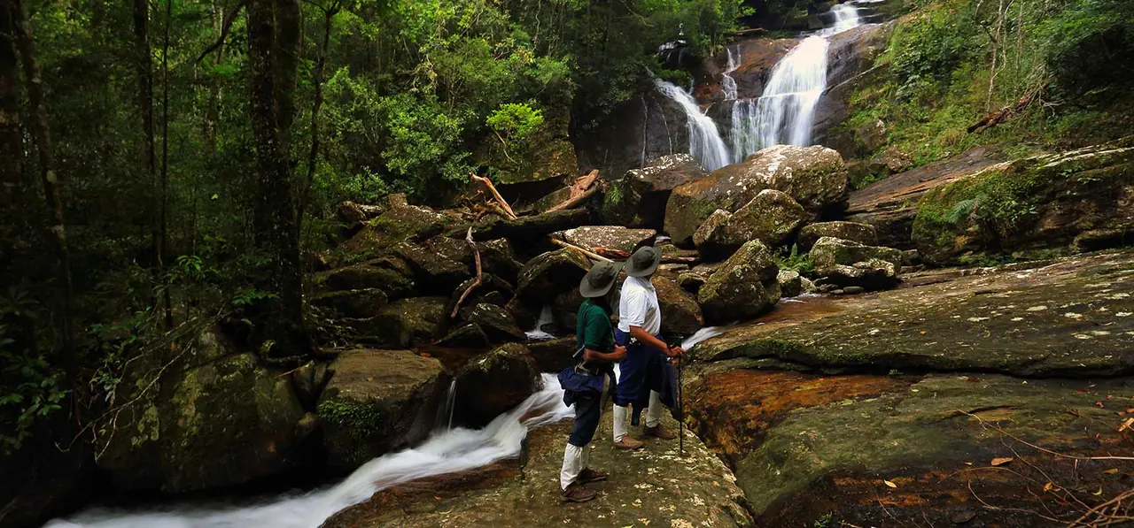 Day Tour Operator Sri Lanka Sinhatraja