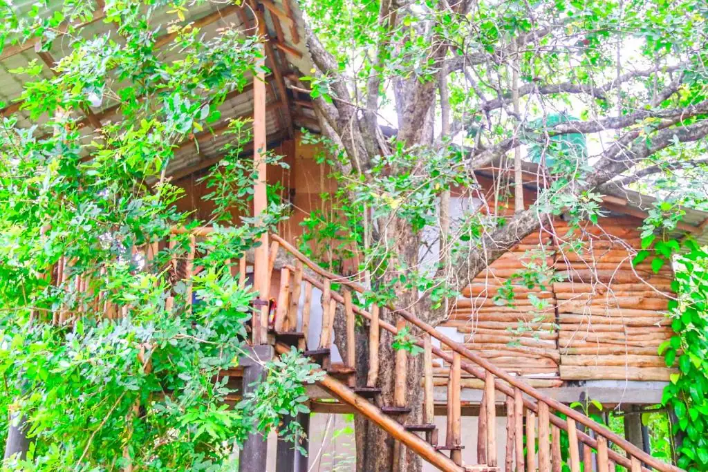 Day 3: Sigiriya Rock Fortress and Dambulla Cave Temple